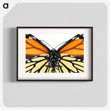 1-86_Insects-Unlocked-Project_blk