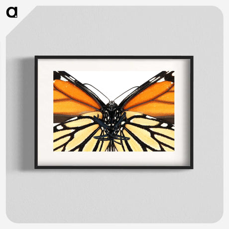 1-86_Insects-Unlocked-Project_blk