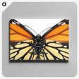 1-86_Insects-Unlocked-Project_canvas