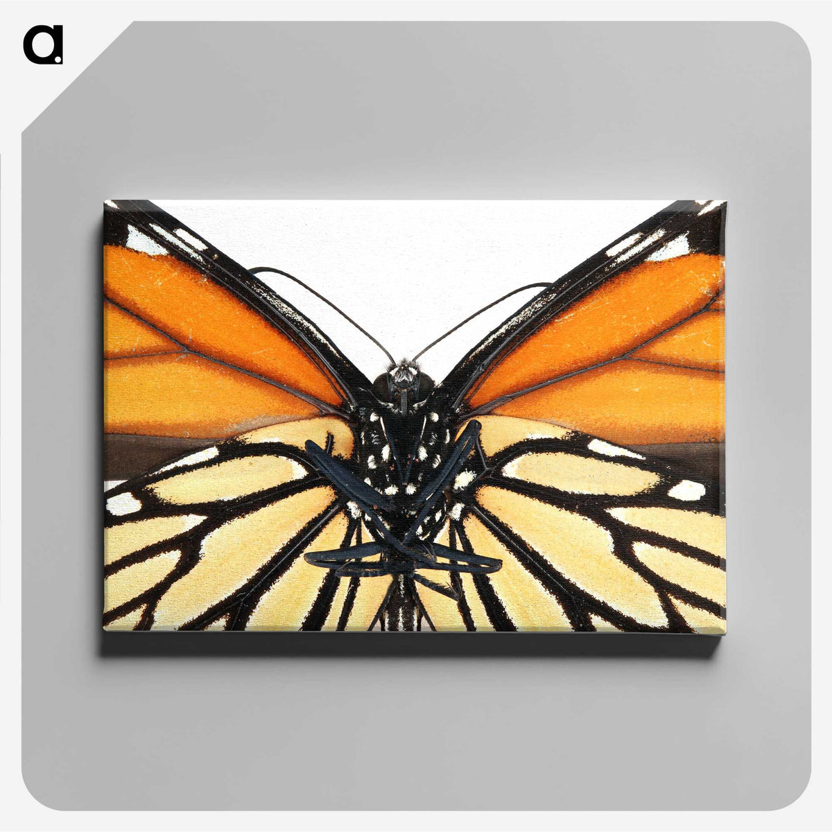 1-86_Insects-Unlocked-Project_canvas