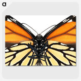 1-86_Insects-Unlocked-Project_picture-crop