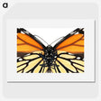 1-86_Insects-Unlocked-Project_picture