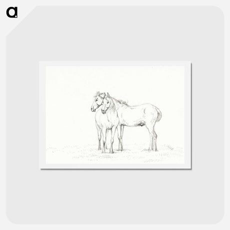 アートポストカード-Two horses standing together - ジャン ベルナール Postcard.