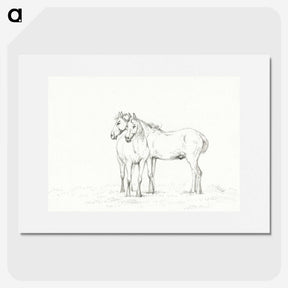 1-86_Jean-Bernard_picture