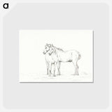 アートポストカード-Two horses standing together - ジャン ベルナール Postcard.