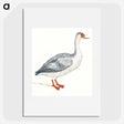 1-86_Johan-Teyler_picture