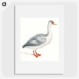 1-86_Johan-Teyler_picture