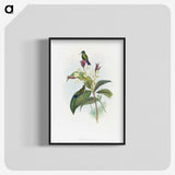 1-86_John-Gould_blk-crop