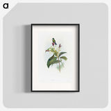 1-86_John-Gould_blk