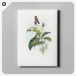 1-86_John-Gould_canvas