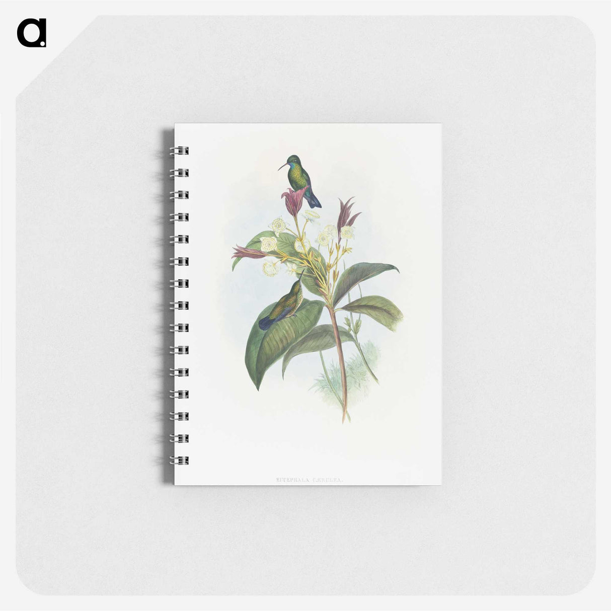 1-86_John-Gould_memo