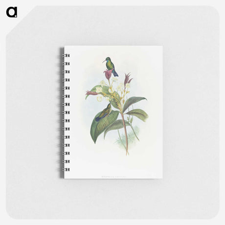 1-86_John-Gould_memo