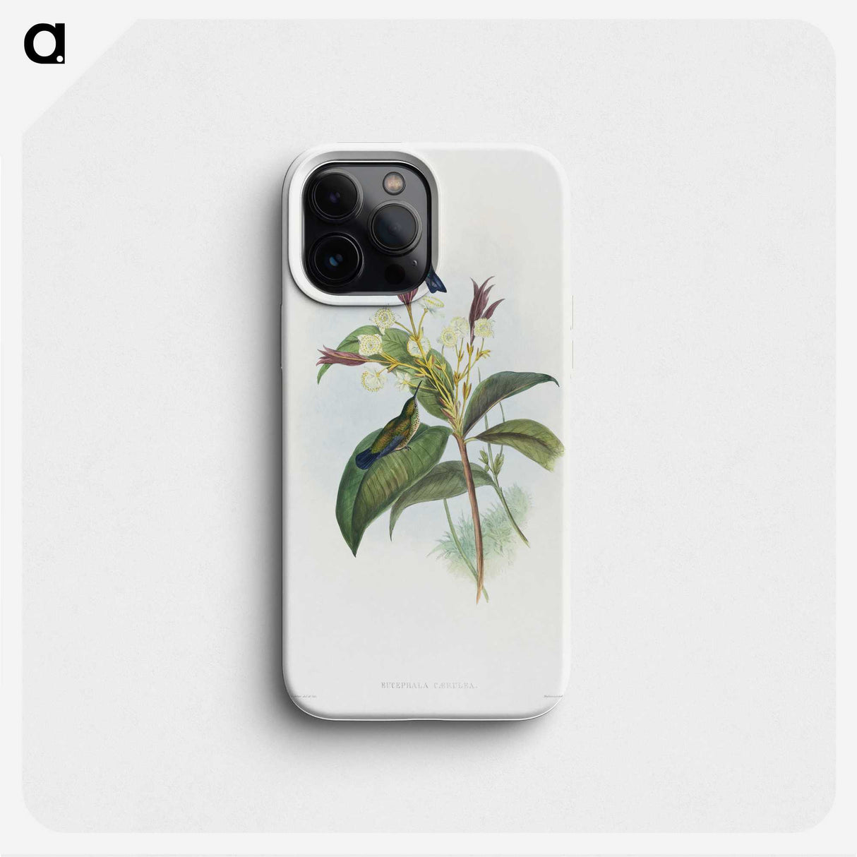 1-86_John-Gould_phone