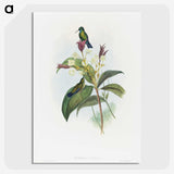 1-86_John-Gould_picture-crop