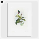 1-86_John-Gould_picture
