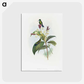 1-86_John-Gould_postcard