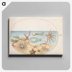 1-86_Joris-Hoefnagel_canvas