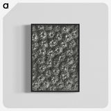1-86_Karl-Blossfeldt_blk-crop