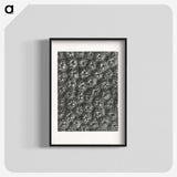 1-86_Karl-Blossfeldt_blk
