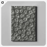 1-86_Karl-Blossfeldt_canvas