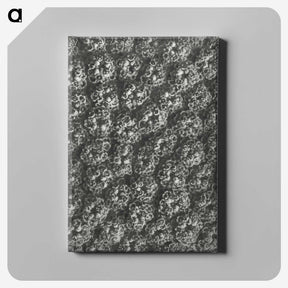 1-86_Karl-Blossfeldt_canvas