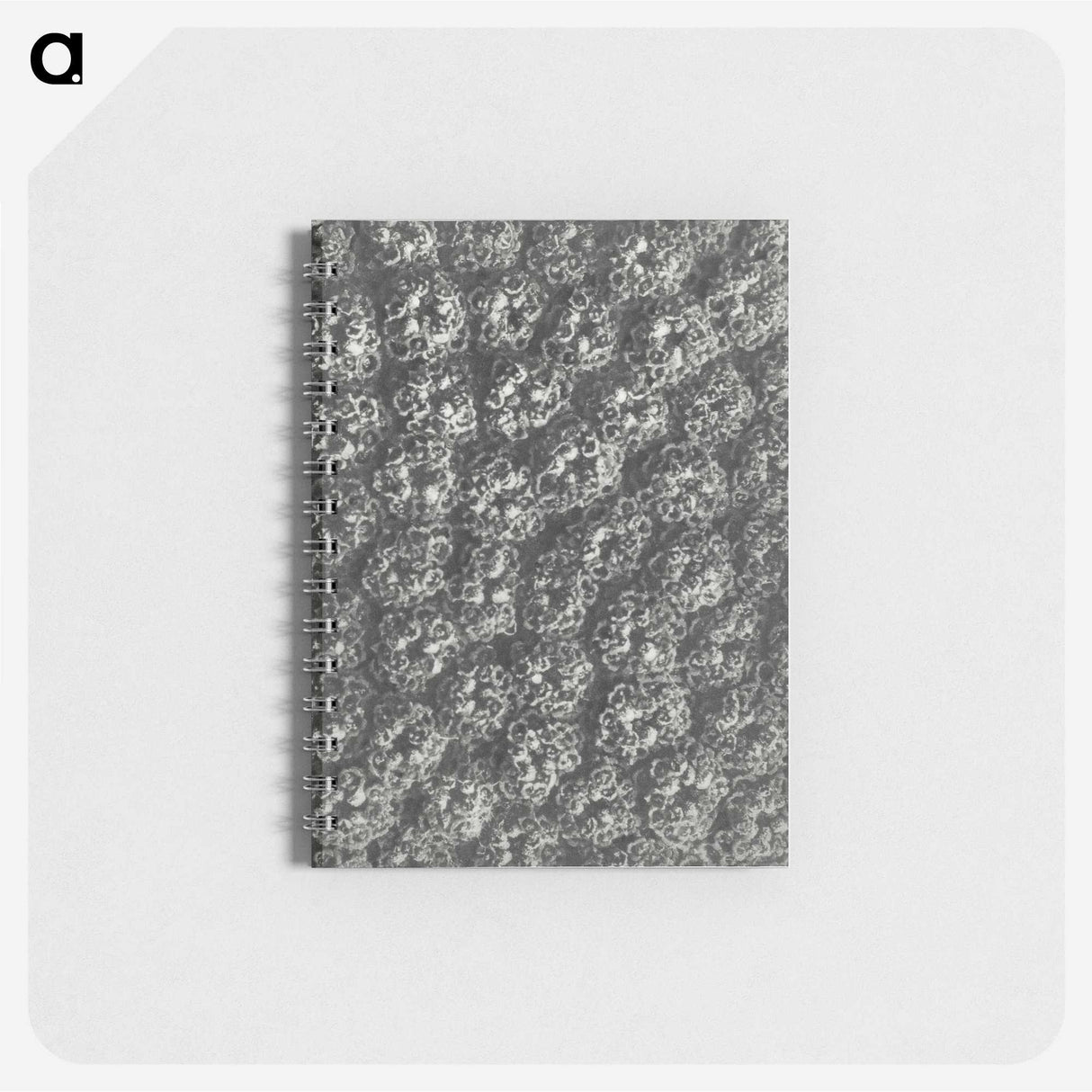 1-86_Karl-Blossfeldt_memo