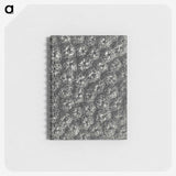 1-86_Karl-Blossfeldt_memo