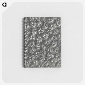 1-86_Karl-Blossfeldt_memo