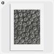 1-86_Karl-Blossfeldt_picture