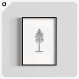 1-86_Les-Palmiers-Histoire-Iconographique_blk