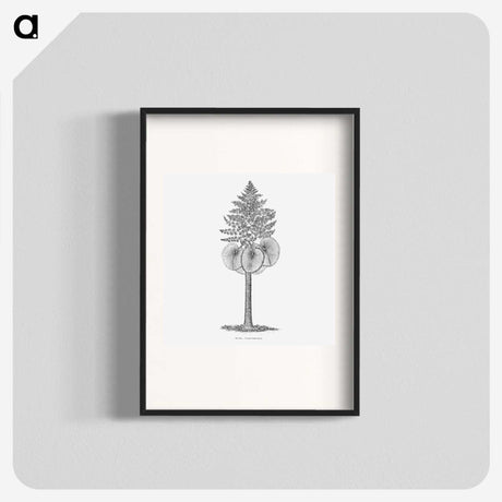 1-86_Les-Palmiers-Histoire-Iconographique_blk