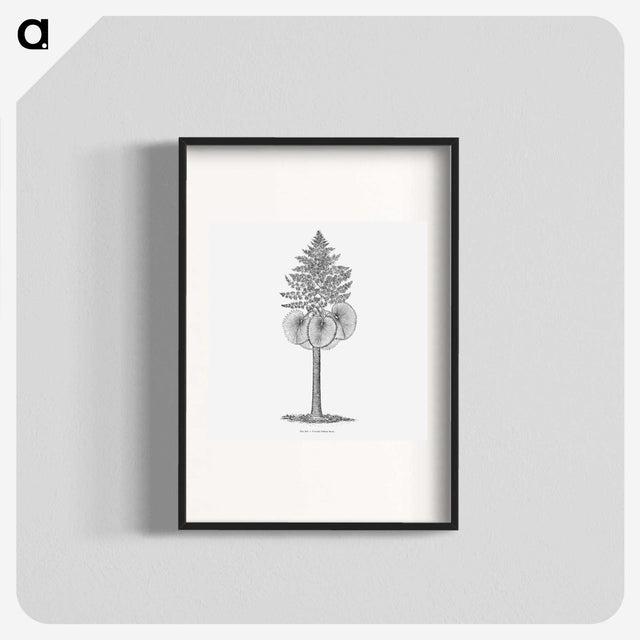 1-86_Les-Palmiers-Histoire-Iconographique_blk