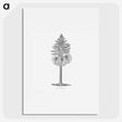 1-86_Les-Palmiers-Histoire-Iconographique_picture