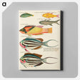 アートパネル-Moluccan Fishes
 - ルイ ルナール Canvas.