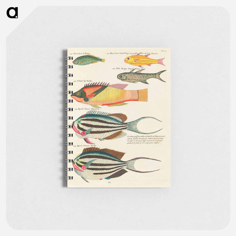 アートメモ帳-Moluccan Fishes
 - ルイ ルナール Memo.