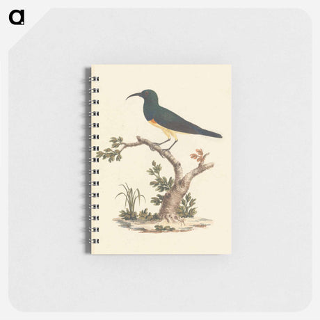 アートメモ帳-Unidentified Sunbird
 - ルイージ バルガーニ Memo.