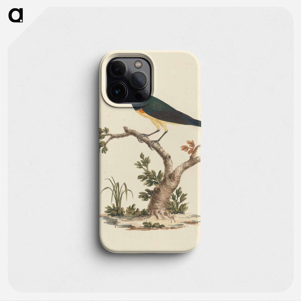 Unidentified Sunbird
 - ルイージ バルガーニ Phone Case.