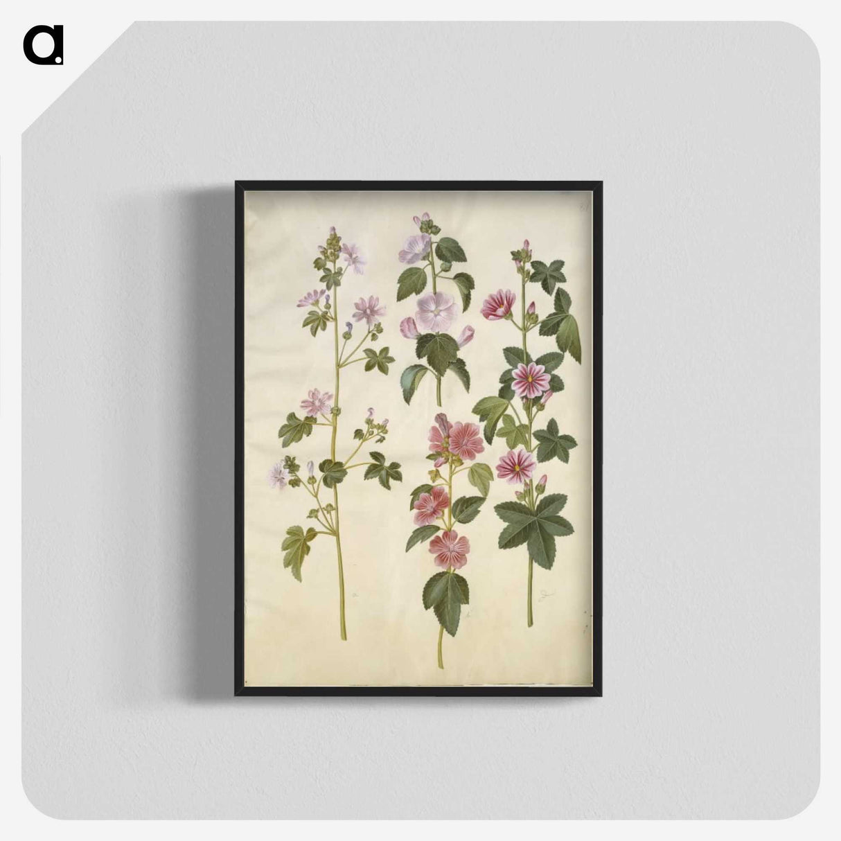 1-86_Maria-Sibylla-Merian_blk-crop
