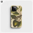 1-86_Mark-Catesby_phone