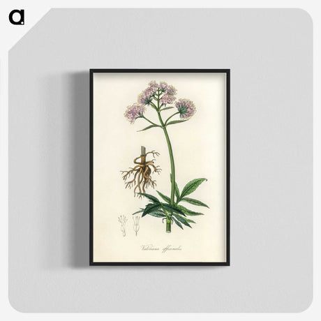 1-86_Medical-Botany_blk-crop