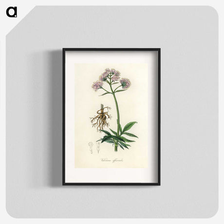1-86_Medical-Botany_blk
