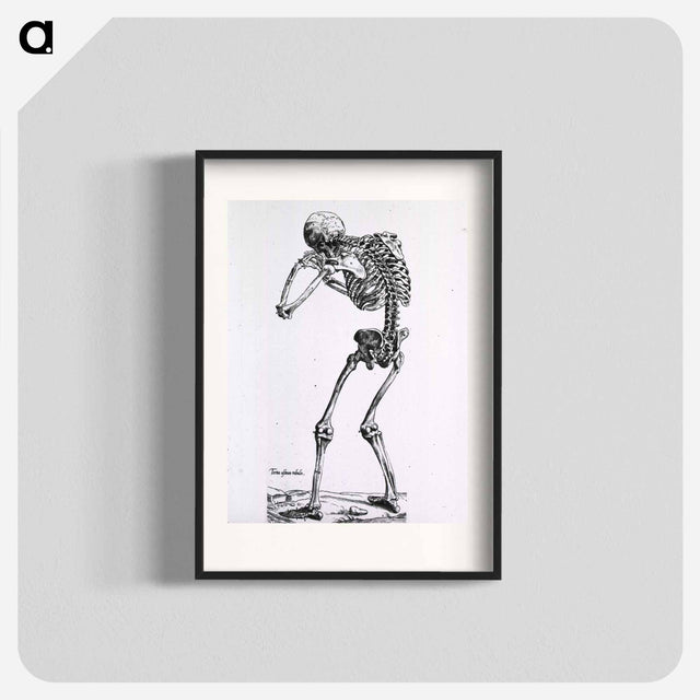 アートポスター-Human Skeleton
 - 国立医学図書館 Poster.