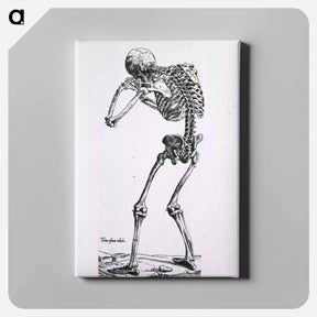 アートパネル-Human Skeleton
 - 国立医学図書館 Canvas.