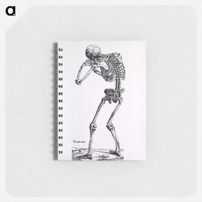 アートメモ帳-Human Skeleton
 - 国立医学図書館 Memo.
