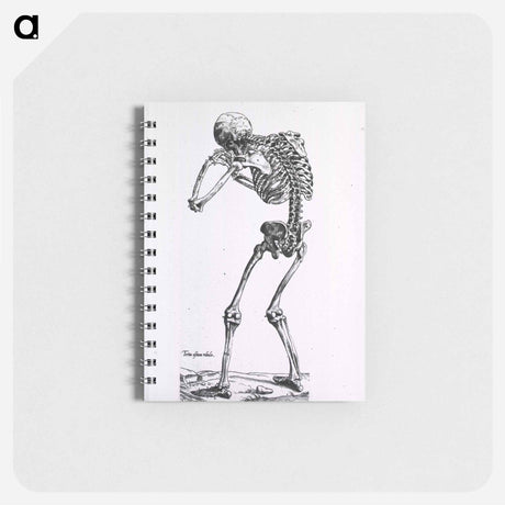 アートメモ帳-Human Skeleton
 - 国立医学図書館 Memo.