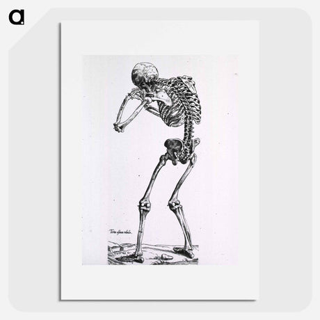 アートポスター-Human Skeleton
 - 国立医学図書館 Poster.