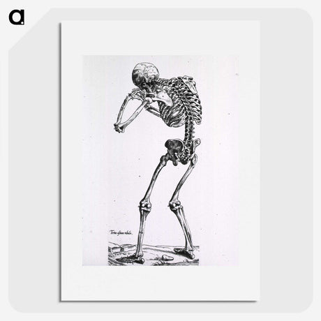 1-86_National-Library-of-Medicine_picture