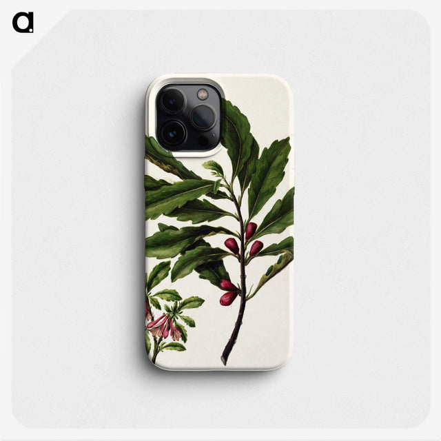 1-86_Native-Flowering-Plants-of-New-Zealand_phone