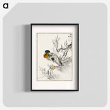 アートポスター-Mallard and Willow
 - 鳥類図鑑 Poster.