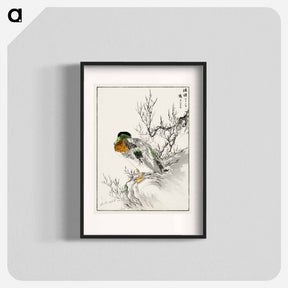アートポスター-Mallard and Willow
 - 鳥類図鑑 Poster.